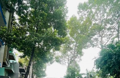BÁN ĐẤT TRẦN BÌNH TRỌNG, QUẬN 5, 4 X 15M, XÂY DỰNG TỰ DO, GẦN QUẬN 1
